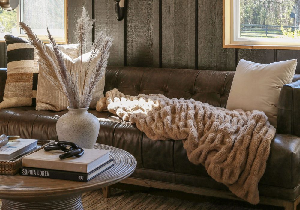 What Color Pillows for Brown Couch,