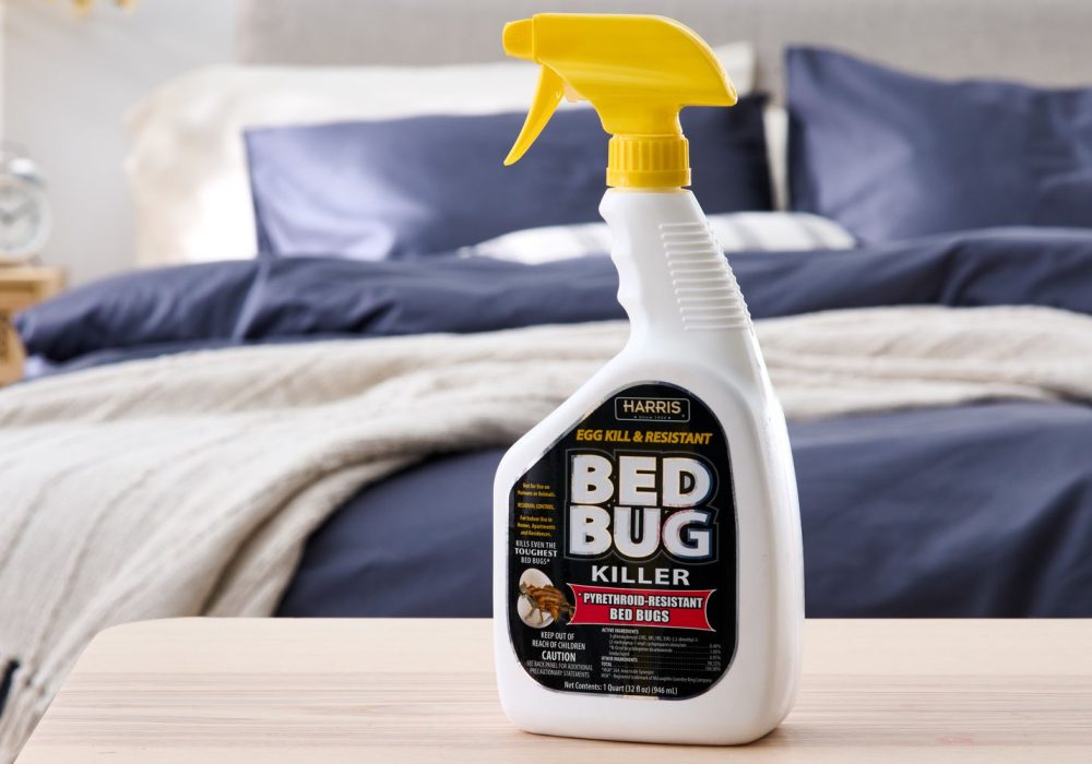 Will Putting Pillows in the Dryer Kill Bed Bugs,