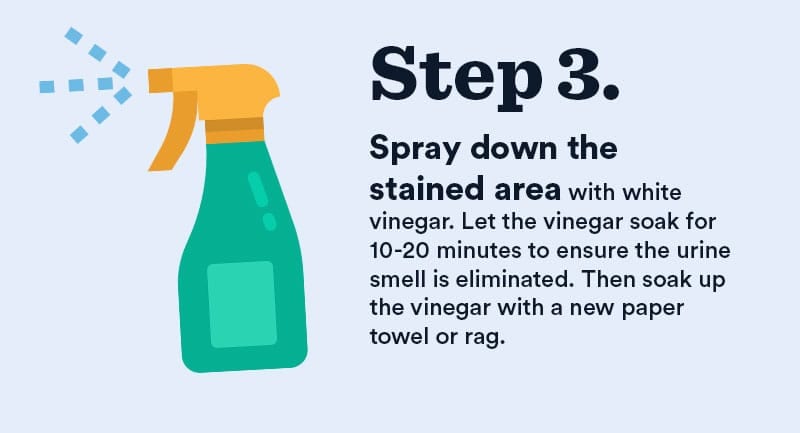 How To Get Urine Smell And Stains Out Of A Mattress