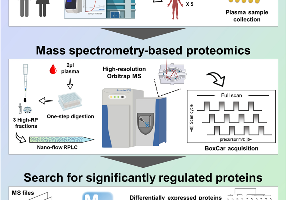 Big Fig Mattress Review