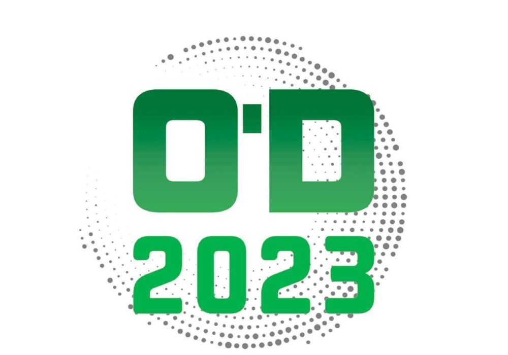 Brooklyn Bedding Spartan Mattress Review