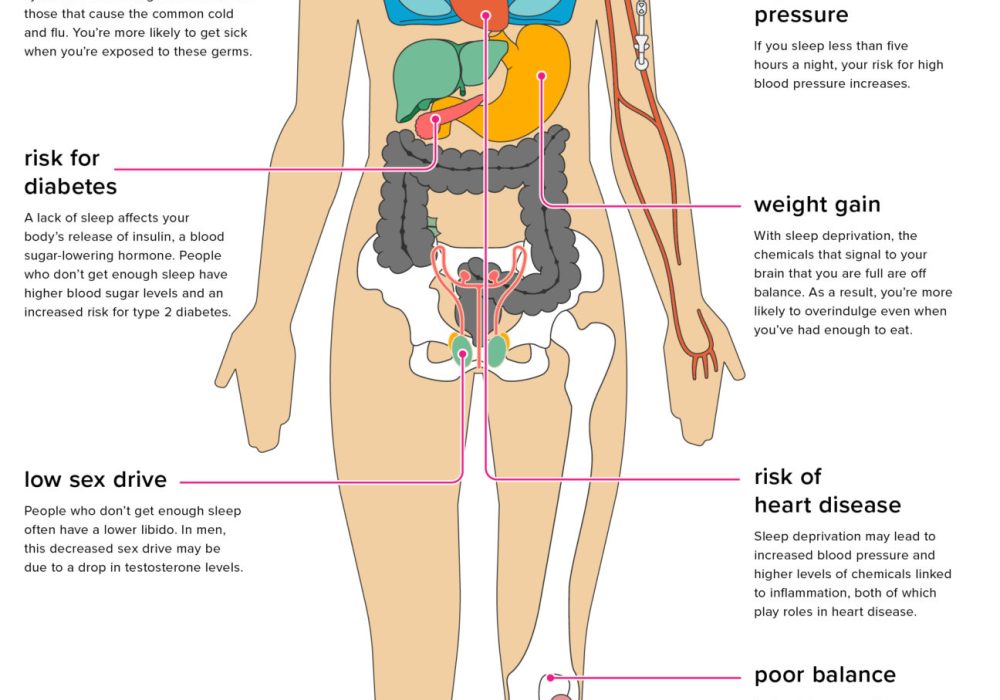 Is 6 Hours Of Sleep Enough