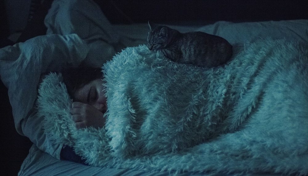 Why Melatonin Searches On Google Spike In Winter