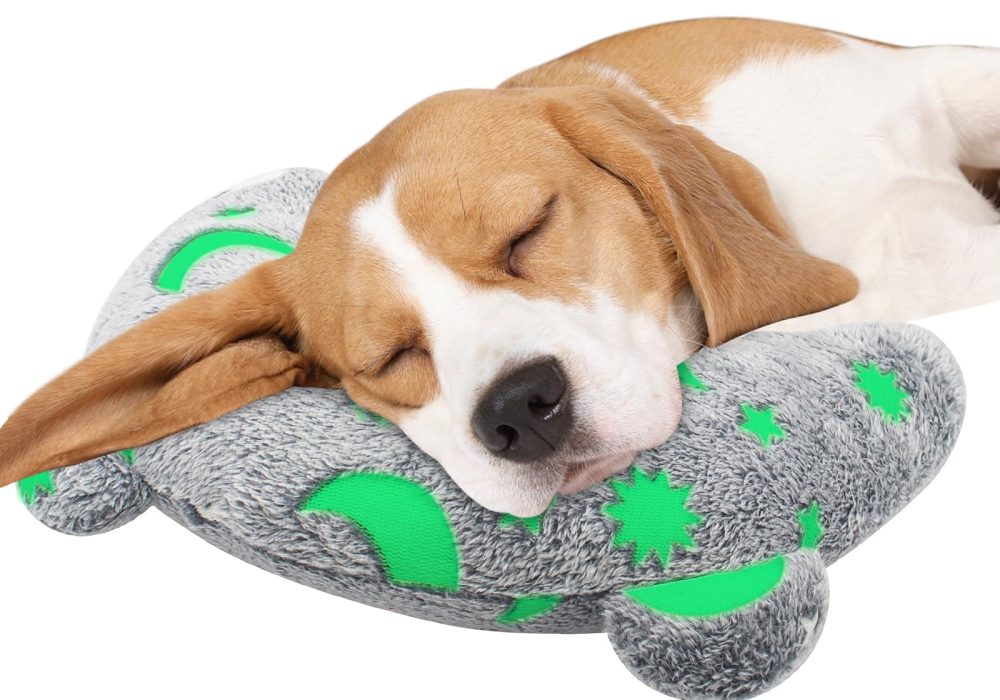 Best Pillows for People Who Sleep With Pets
