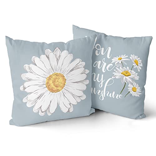 Best Pillows for Spring Cleaning Replacement
