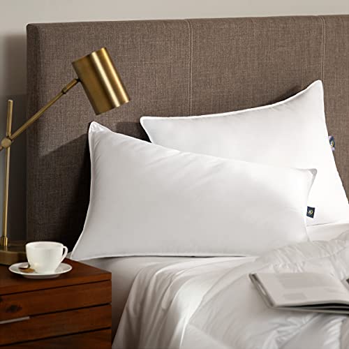 Where to Buy Hypoallergenic Pillows