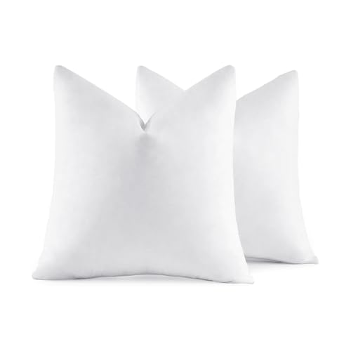 Best Feather Pillow Inserts,