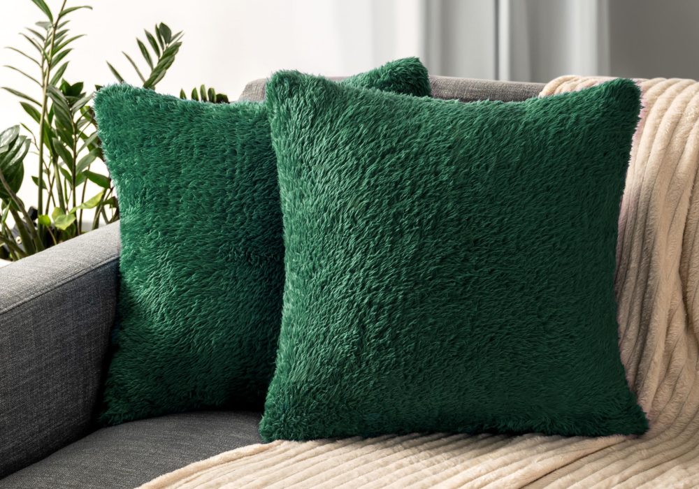 Green Accent Pillows