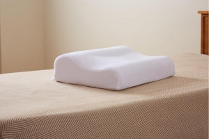 Carpenter Company Memory Foam Pillow