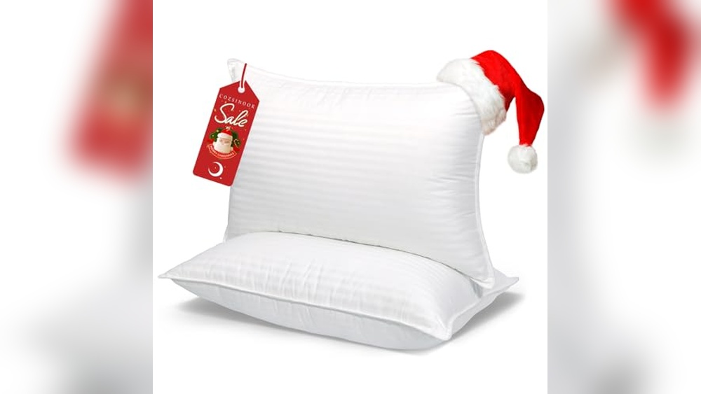 Queen Size Bed Pillows Review